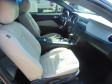 – Thumbnail 11 – Thumbnail 11